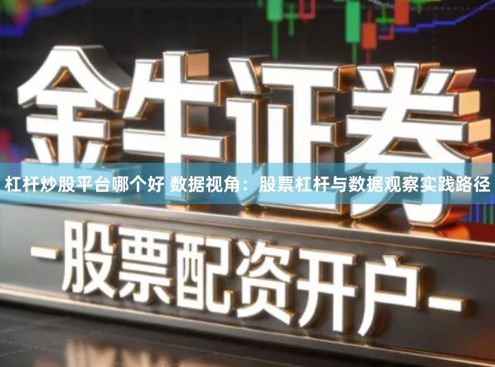 杠杆炒股平台哪个好 数据视角：股票杠杆与数据观察实践路径