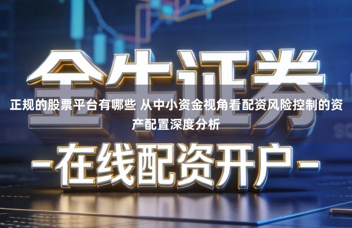 正规的股票平台有哪些 从中小资金视角看配资风险控制的资产配置深度分析